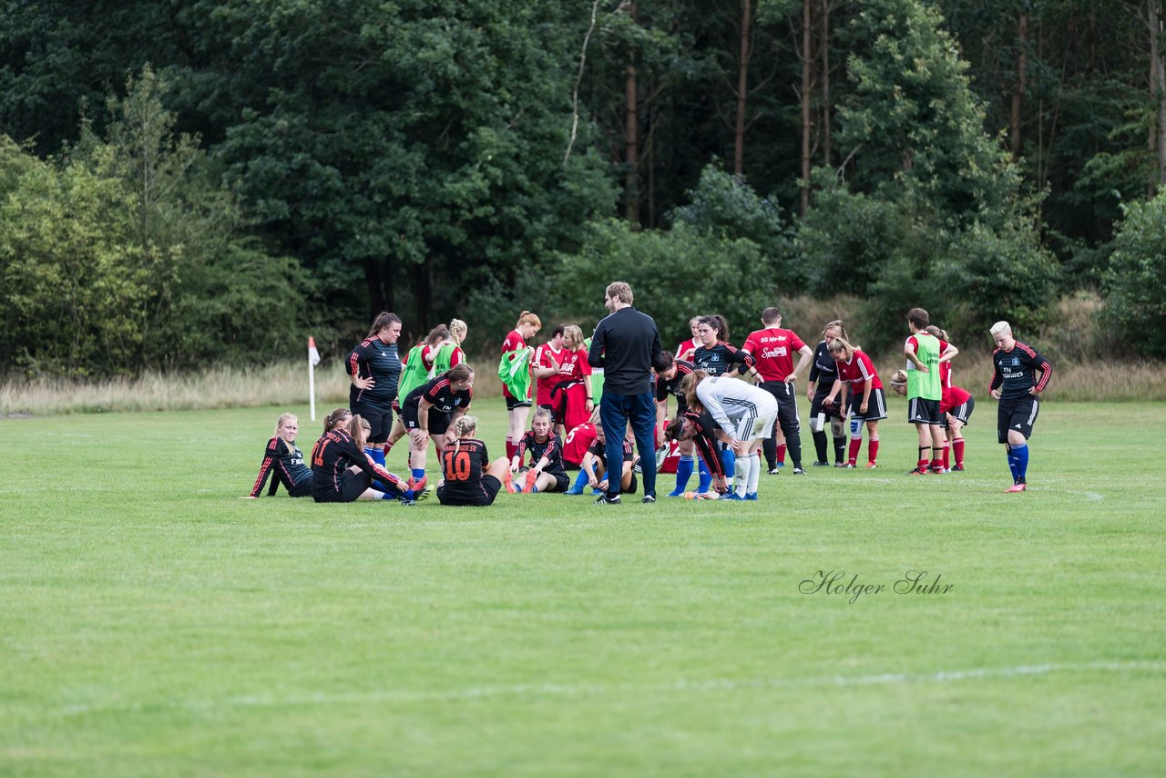 Bild 316 - Frauen SG NieBar - HSV 2 : Ergebnis: 4:3